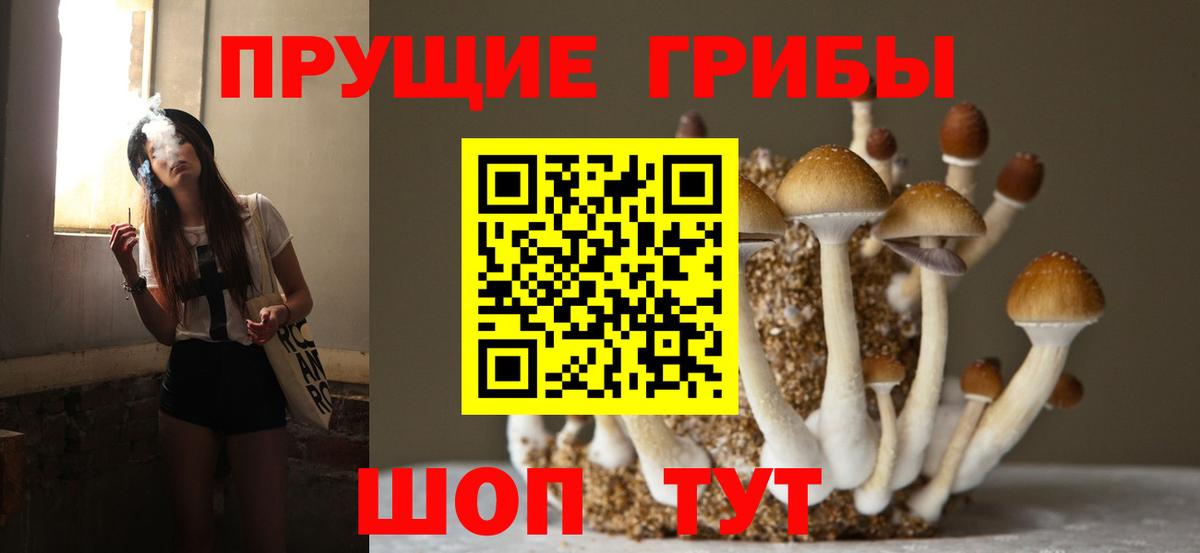 Псилоцибиновые грибы Magic Shrooms Богданович