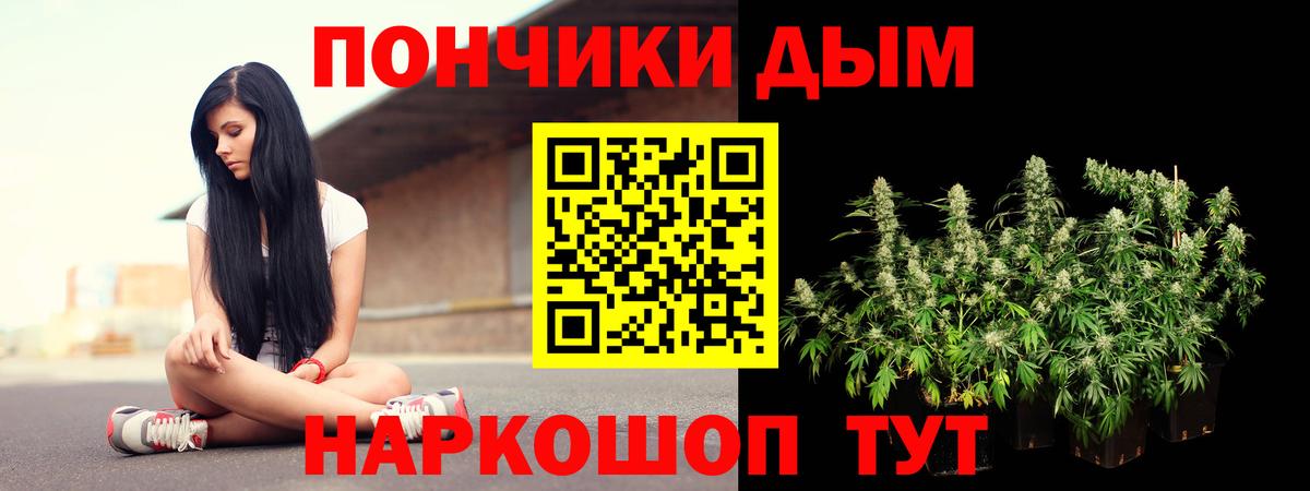Шишки марихуана семена Богданович